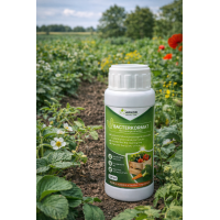 Bacterkormat 100 ml plyn innowacyjny preparat bakteryjny