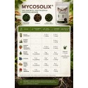 MycoSolix 100 g suchy